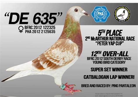 mcarthur pigeon race prize|EP 34 .
